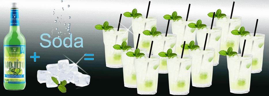 Flasche Mojito ergibt 12 fertige Cocktails